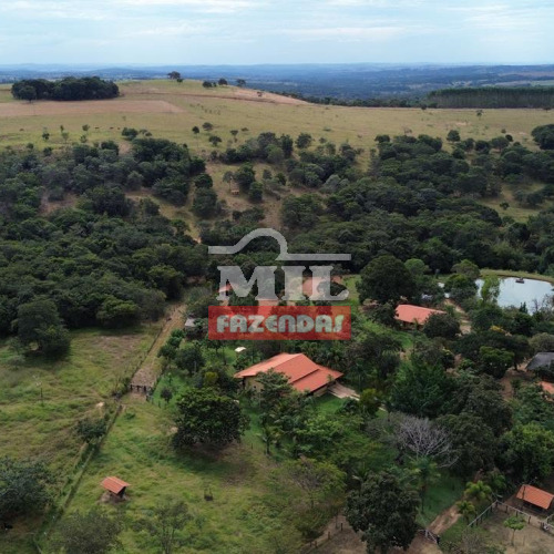 Fazenda 63,5 Alqueires (307,34 hectares) Pires do Rio - GO