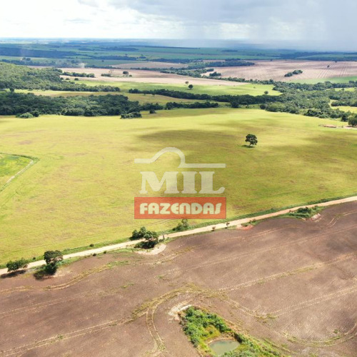 Fazenda 32,7 Alqueires (158,27 hectares) Edeia - GO