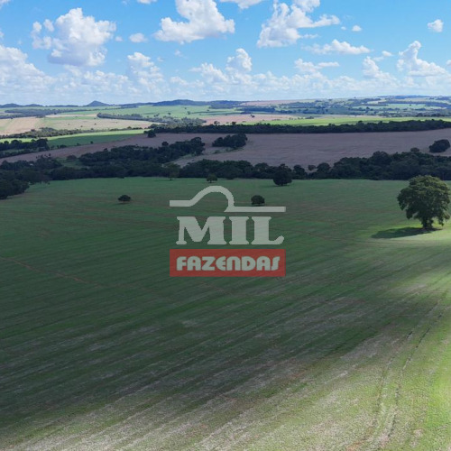 Fazenda 37 alqueires (179,08 hectares) Piracanjuba - GO