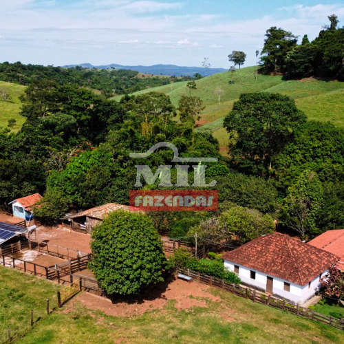Fazenda 30 Alqueires (145,2 hectares) Itapaci - GO