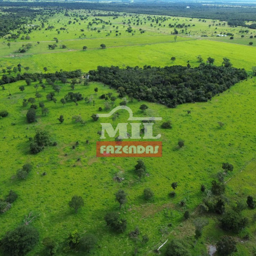 Fazenda 150 Alqueires (726 hectares) São Miguel do Araguaia - GO