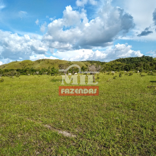 Fazenda 258 Alqueires (1.250 hectares) Couto Magalhães - TO