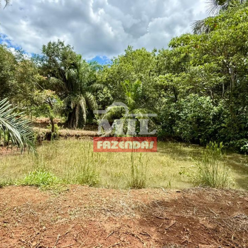 Chácara 5 alqueires (24,2 hectares) Bela Vista de Goiás - Go