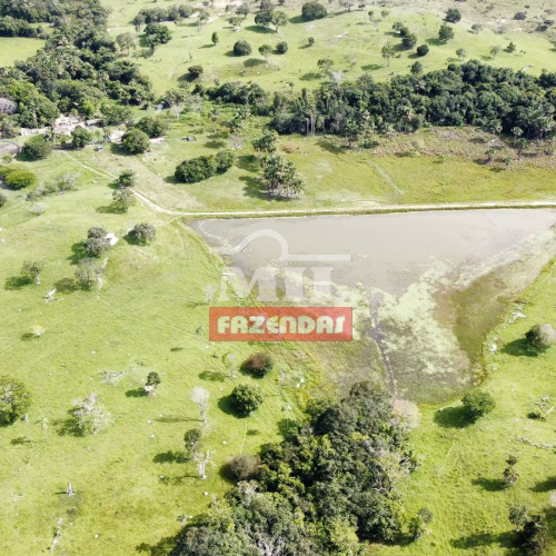 Fazenda 33 Alqueires (160 hectares) Itapuranga - GO