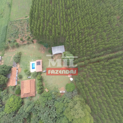 Chácara 6,81 Alqueires (33 hectares) Guápo - Go