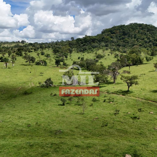 Chácara 8,5 alqueires (41,14 hectares) Anicuns - Go