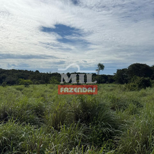Fazenda 155 Alqueires (749,7 hectares) Nova Crixas - GO