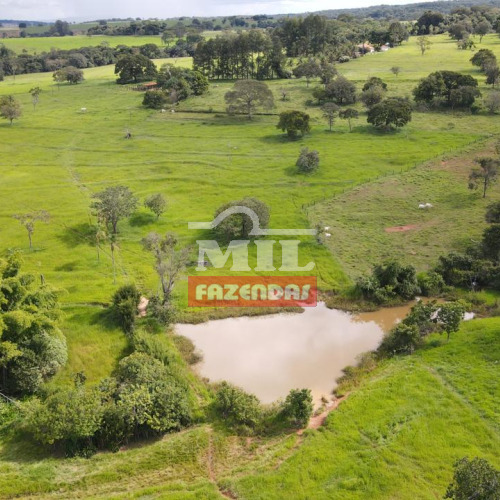 Sitio 17.80 Alqueires (86.18 hectares) Hidrolândia - GO