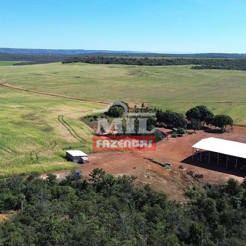 Fazenda 140 alquieres (677,6 hectares) Palmas (Buritirana) - To