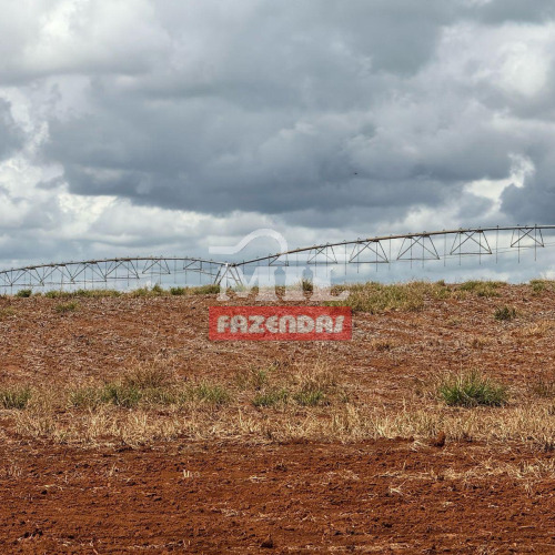 Fazenda 41,3 alqueires (200 hectares) Orizona - GO