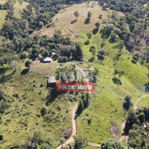 Fazenda 18 Alqueires (87,12 Hectares)  Bonfinópolis - GO