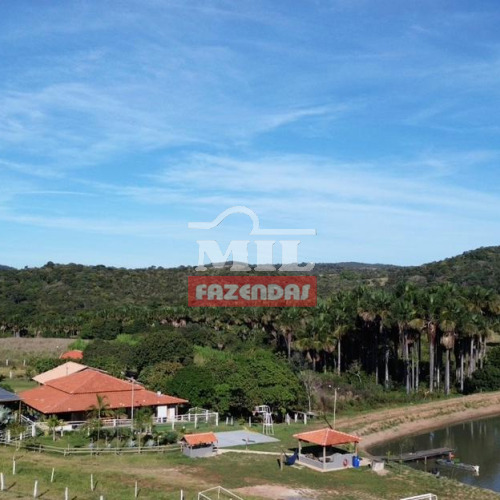 Fazenda 62 alqueires (300,08 hectares ) Iporá - GO
