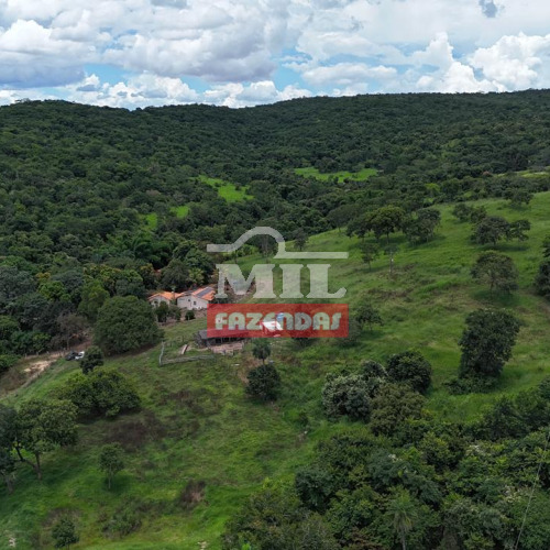 Chácara 10,5 alqueires (50,82 hectares) Pontalina - GO