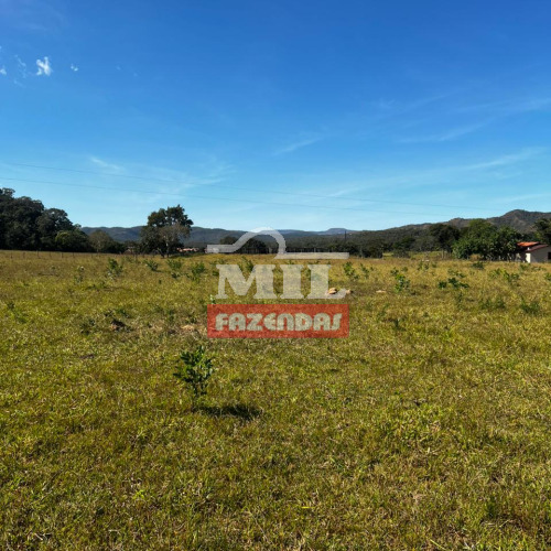 Fazenda 66 alqueires (319,4 hectares) Minaçu - GO
