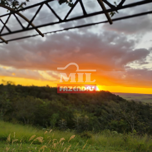 Fazenda 22,52 Alqueires (109 hectares) Alexânia - GO