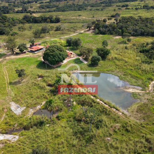 Fazenda 503 Alqueires (2.438 hectares) Araguaçu - TO