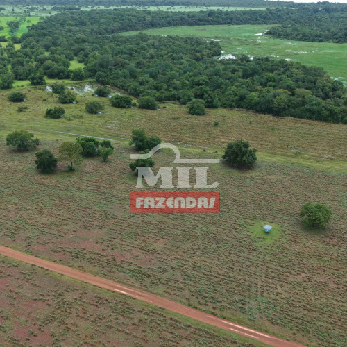 Fazenda 203 Alqueires (983 Hectares) São Miguel do Araguaia - Go