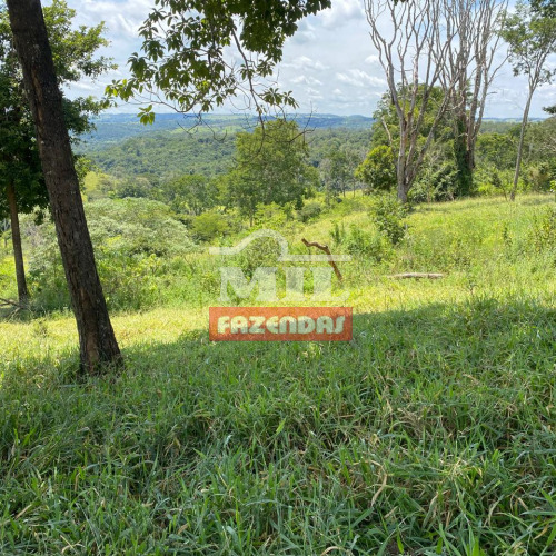 Chácara 7 Alqueires (33,8 Hectares) Abadiania - GO