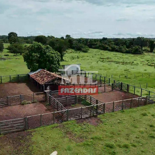 Fazenda  111,5 Alqueires (540,8 Hectares) Nova Crixás - GO
