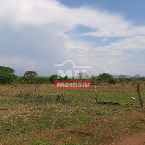 Fazenda 157 Alqueires (700 hectares) Colinas do Sul - GO