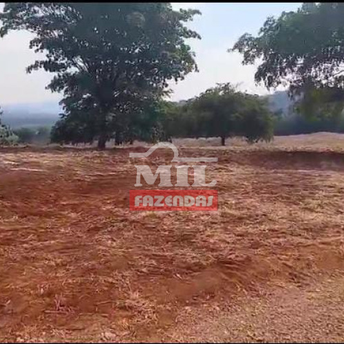 Fazenda 37,5 Alqueires (181,5 hectares) Itapuranga - GO