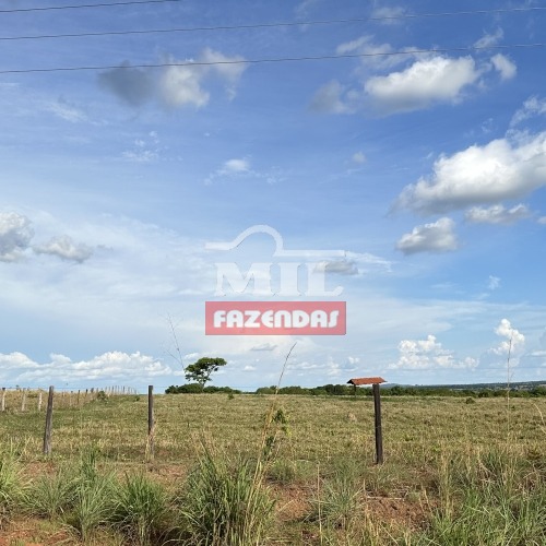 Fazenda de 300 alqueires (1.452 hectares) em São Miguel do Araguaia GO