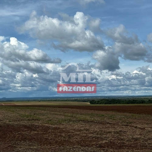 Fazenda Agrícola em Piraquê-TO. (342 Alqueires). Oeste do Tocantins