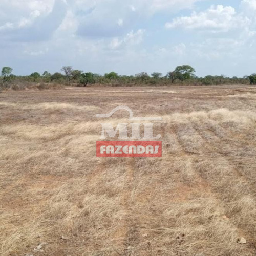 Fazenda 13.604 Hectares Benedito Leite - MA