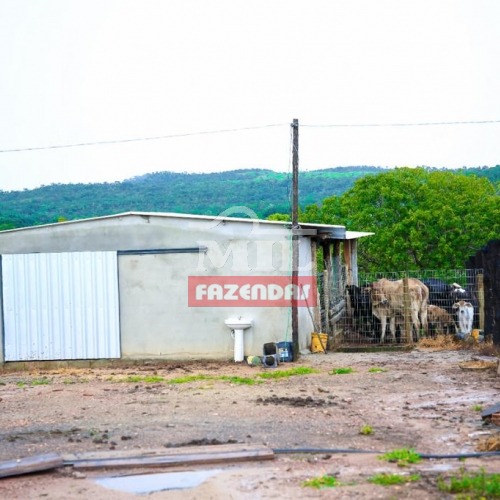Fazenda 40 alqueires (194 hectares) em Rianápolis - GO