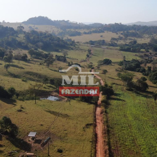 Fazenda 43 alqueires (208 hectares) Caturai - GO