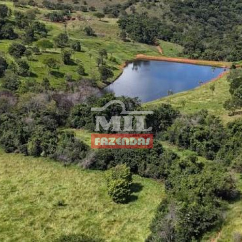 Fazenda 60 Alqueires (290,4 Hectares) Goias velho - GO