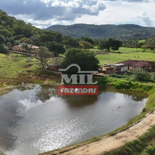 Fazenda 108 alqueires (522,72 hectares) Nova Iguaçu - GO