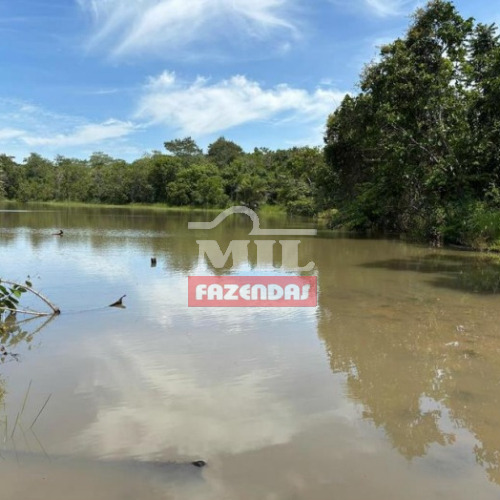 Fazenda 67,5 Alqueires (312 Hectares) Novo Brasil - GO
