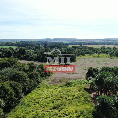 Chacara 3,7 alqueires (17,9 hectares) Edealina - Go