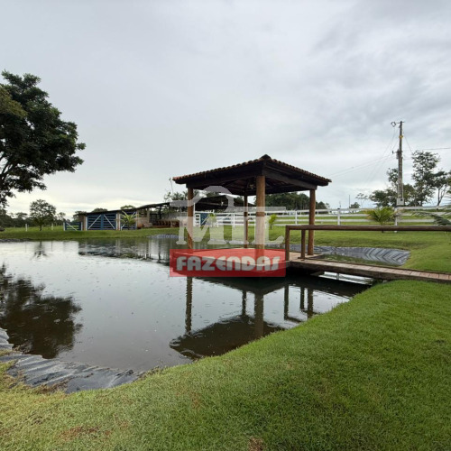 Chácara 2 alqueires (9,68 hectares) Bela Vista de Goiás - Go
