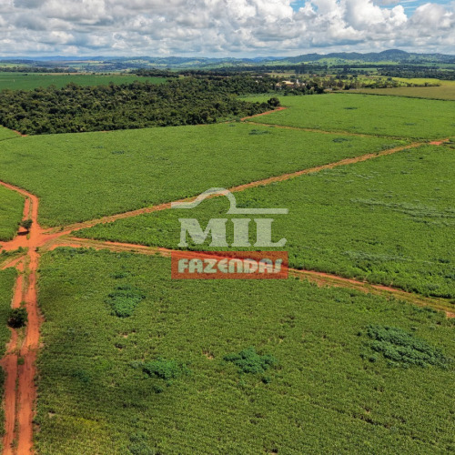 Chácara 11,26 Alqueires (54,40 hectares) Inhumas - GO