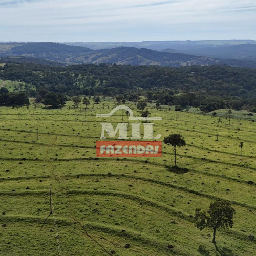 Fazenda 83,53 Alqueires (404,28 hectares) Goiatuba - GO