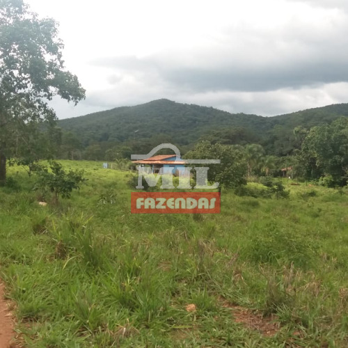 Chácara 9,48 Alqueires (45,9 hectares) Goiás Velho - GO