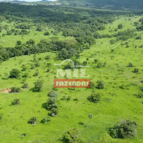 Fazenda 100 Alqueires (484 hectares) Faina - GO