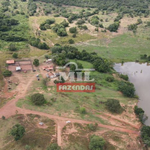 Fazenda 245 Alqueires (1.186 hectares) Crixás - GO