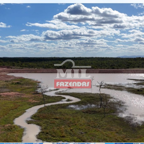 Fazenda 615 alqueires (2.976 hectares) Arraias - To