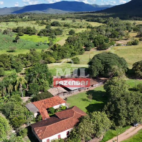 Fazenda 241 Alqueires (1.166,9 hectares) Crixás - GO