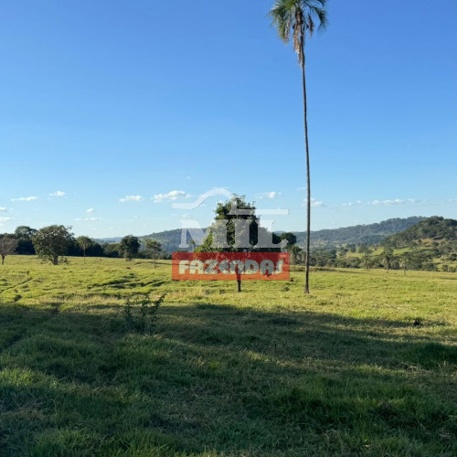 Fazenda 38 Alqueires (184 hectares) Trindade - GO