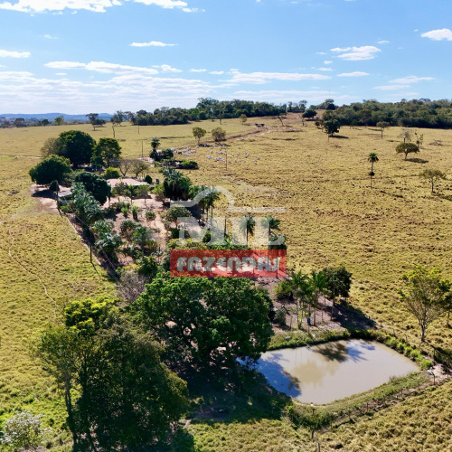 Fazenda 17 alqueires (82,28 hectares) Cezarina - Go