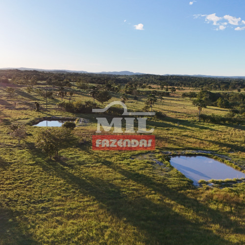 Fazenda 21 alqueires (101,64  hectares) Crixás - Go