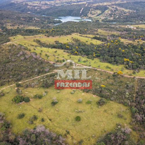 Fazenda 59,99 Alqueires (288,26 hectares) Santo Antônio do descoberto - GO