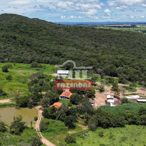 Chácara 9,1 Alqueires (44,04 hectares) Cromínia - GO