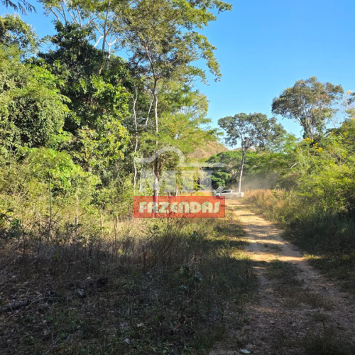Fazenda 832 alqueires (4.028 hectares) Niquelândia - Go